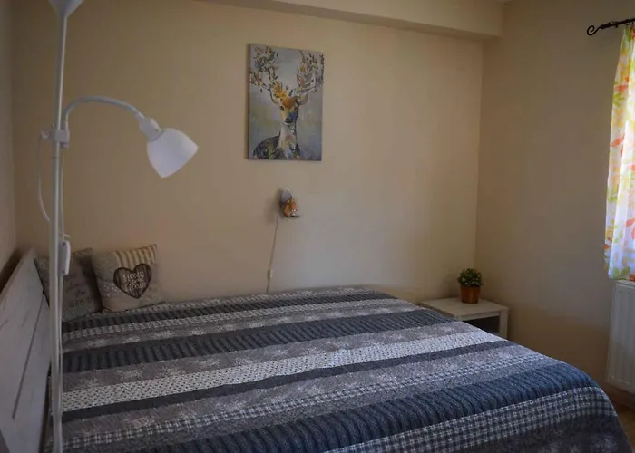 Dom wakacyjny In - Balaton 18809 *