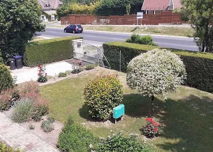 In - Balaton 18809 *