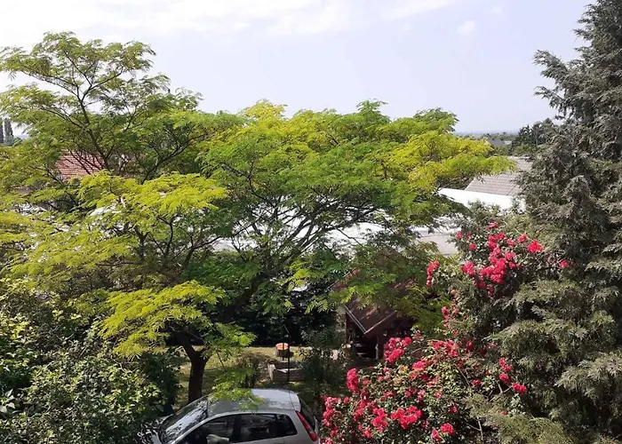 In - Balaton 18809 Dom wakacyjny *